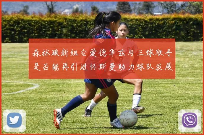 森林狼新组合爱德华兹与三球联手是否能再引进怀斯曼助力球队发展